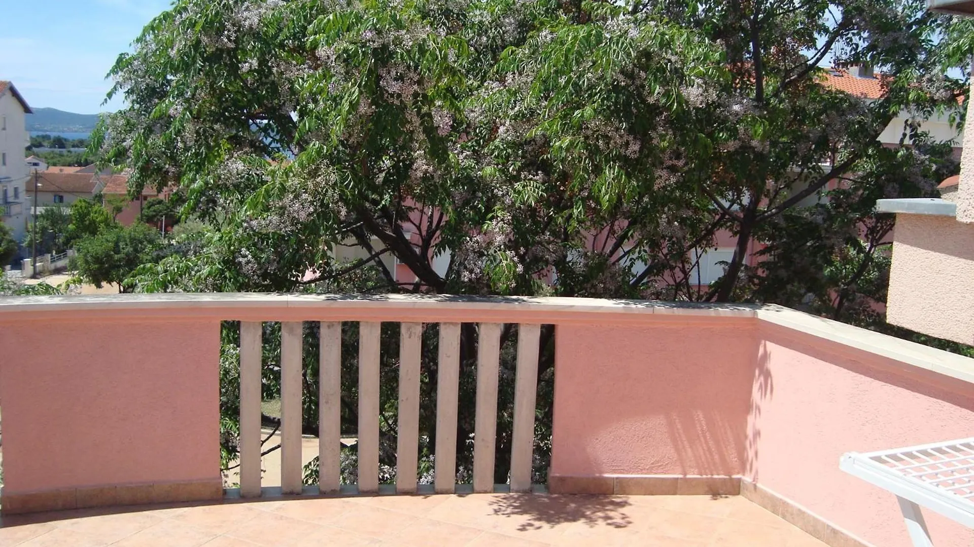 Apartment In Zadar/Zadar Riviera 8067